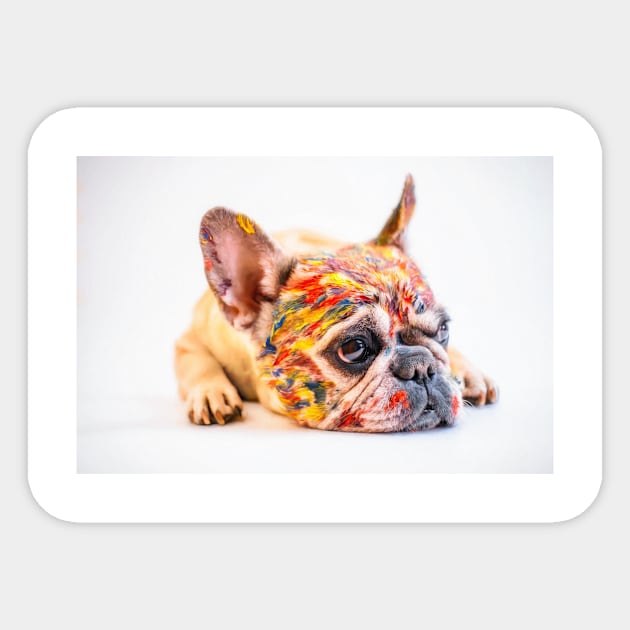 French Bulldog Sticker by kawaii_shop